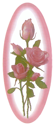 Camoe Roses PINK (11011990) Matthews